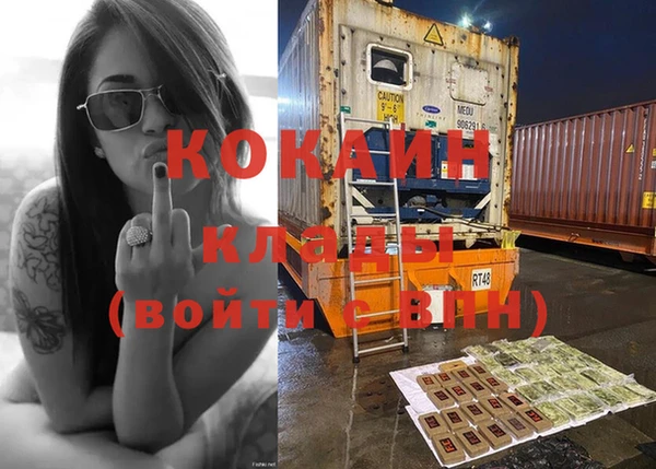 ПСИЛОЦИБИНОВЫЕ ГРИБЫ Вяземский