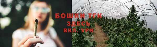 сатива Вязьма