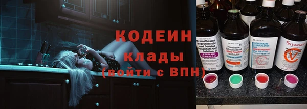 ПСИЛОЦИБИНОВЫЕ ГРИБЫ Вяземский