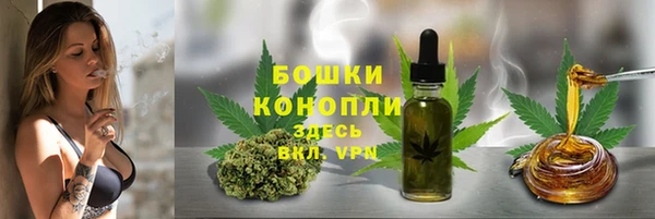 сатива Вязьма