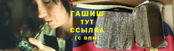 ПСИЛОЦИБИНОВЫЕ ГРИБЫ Вяземский