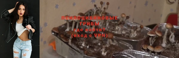 сатива Вязьма
