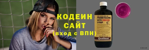 ПСИЛОЦИБИНОВЫЕ ГРИБЫ Вяземский