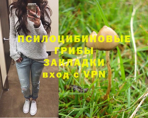 сатива Вязьма