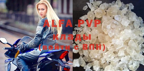 ПСИЛОЦИБИНОВЫЕ ГРИБЫ Вяземский