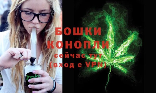 ПСИЛОЦИБИНОВЫЕ ГРИБЫ Вяземский