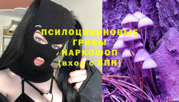 сатива Вязьма