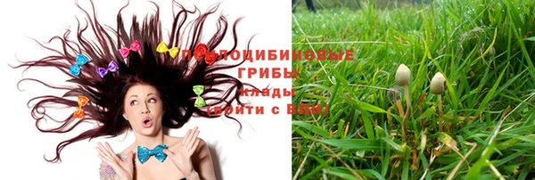 ПСИЛОЦИБИНОВЫЕ ГРИБЫ Вяземский