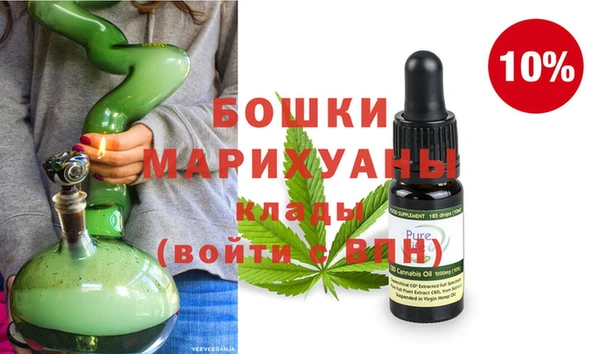 сатива Вязьма