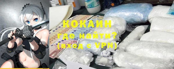 ПСИЛОЦИБИНОВЫЕ ГРИБЫ Вяземский